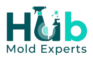 gainesvillemoldexperts.com