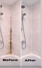 Shower before-and-after shows mold cleanup results Gainesville FL with dark staining removed from tile and grout lines.