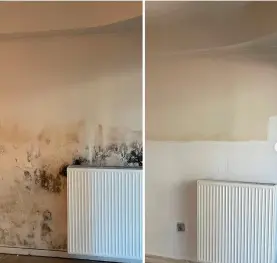 Wall before-and-after shows mold cleanup results Gainesville FL with staining removed and the area restored near a radiator.