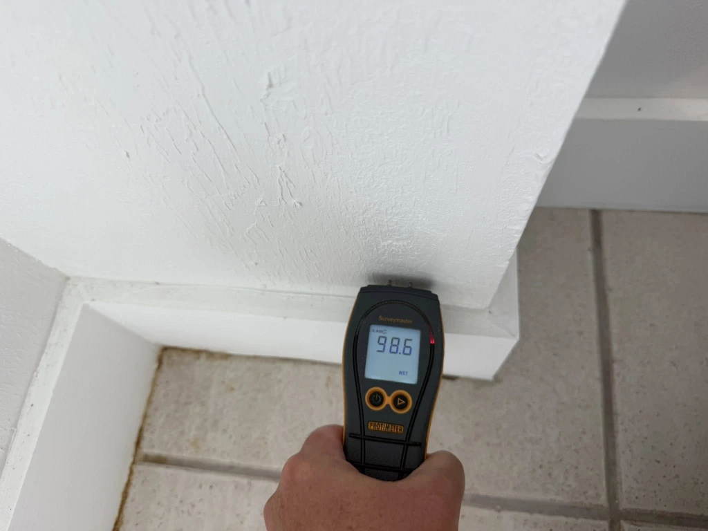 Professional mold inspection technician using moisture meter to check wall for water damage