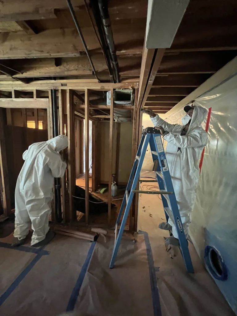 Certified technicians in protective suits performing mold remediation with proper containment and safety protocols