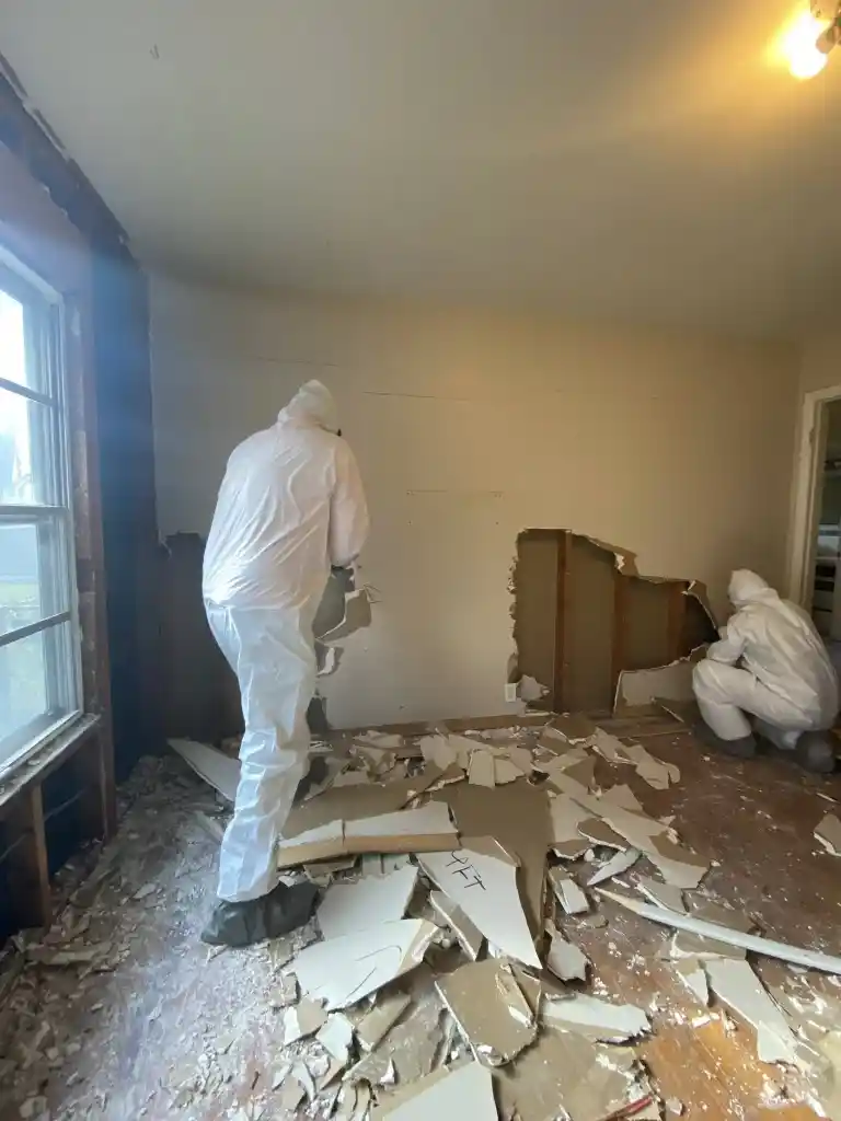 Mold remediation experts removing contaminated drywall and building materials from water-damaged room