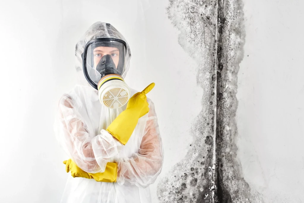 Professional mold removal expert wearing protective gear inspecting mold on wall