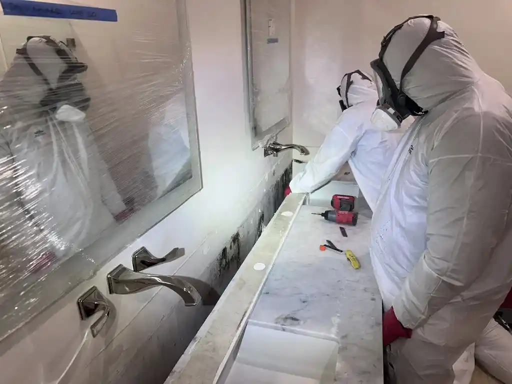 Mold remediation experts in protective suits removing mold from bathroom wall and sink area