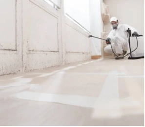 Certified technician treating mold contamination on walls and baseboards with professional equipment
