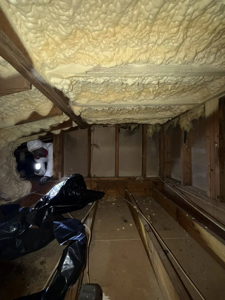 Professional attic mold remediation with spray foam insulation in Gainesville FL home